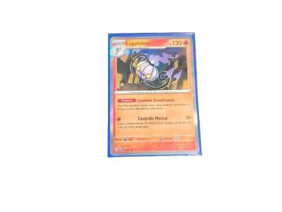 Lot de 100 Sleeves Pokémon – 66 × 91 mm